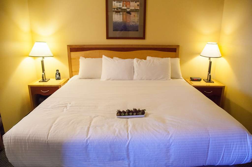 Medicine Hat Lodge, Trademark Collection By Wyndham חדר תמונה